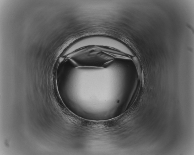 X0000099460483200805231810