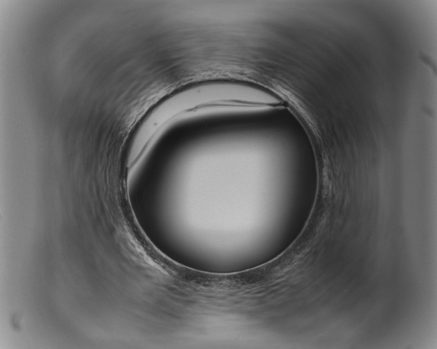 X0000099460485200805231810