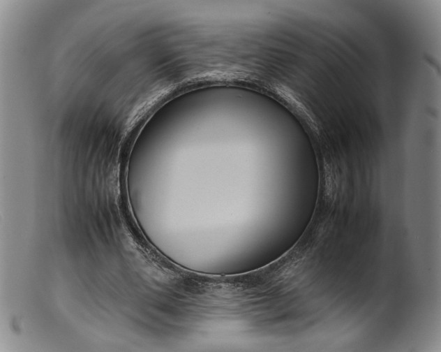 X0000099460486200805231810