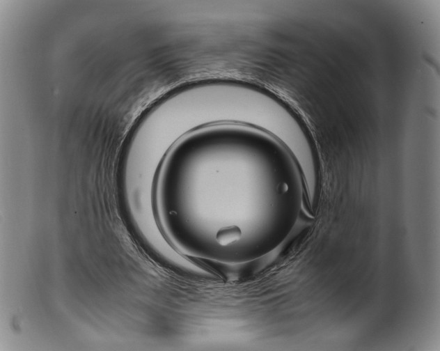 X0000099460487200805231810