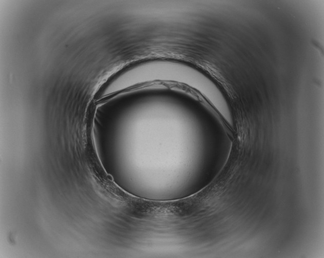 X0000099460488200805231809