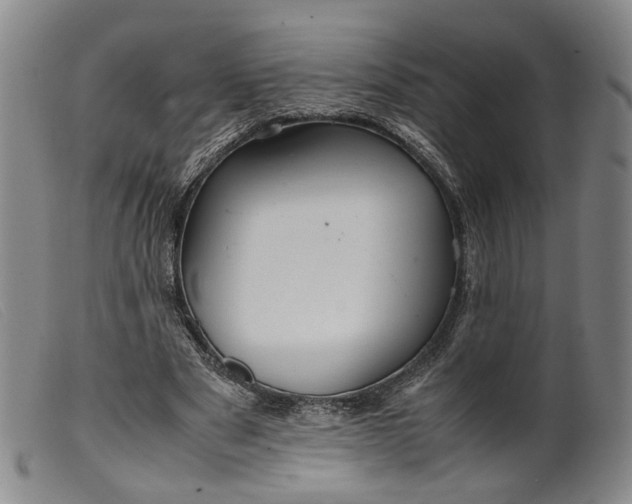 X0000099460489200805231809