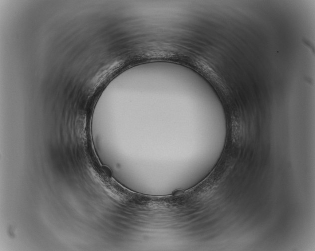 X0000099460490200805231809