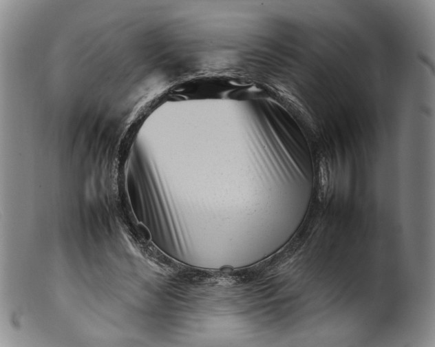 X0000099460492200805231809