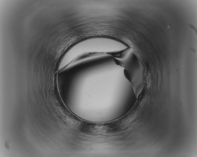 X0000099460493200805231809