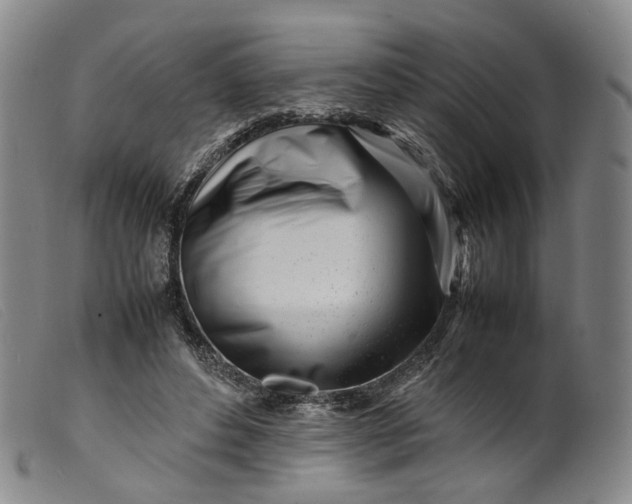 X0000099460496200805231809