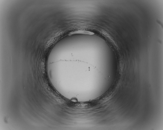 X0000099460497200805231809