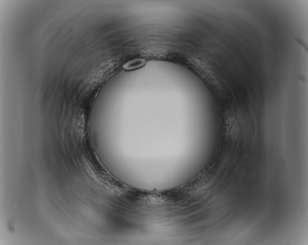 X0000099460498200805231809