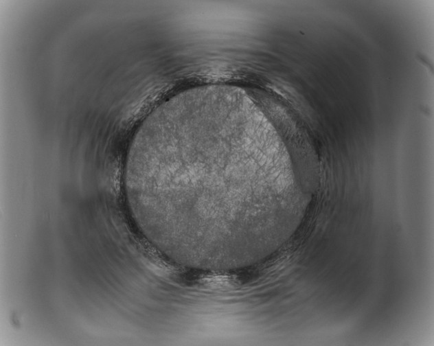 X0000099460499200805231809