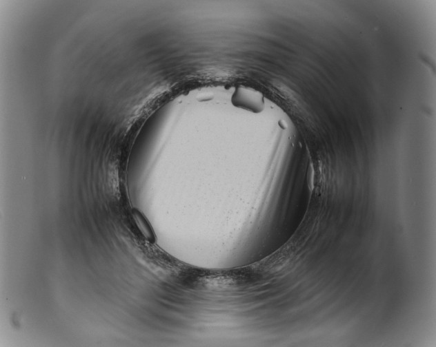 X0000099460500200805231809