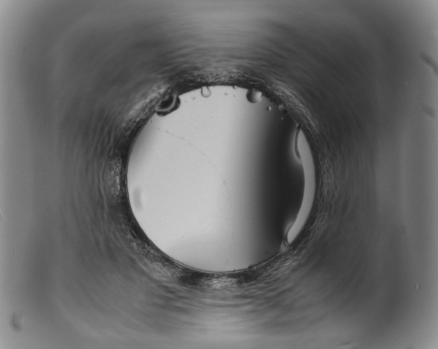 X0000099460501200805231809