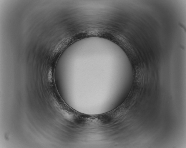 X0000099460502200805231809