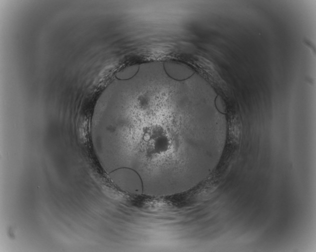 X0000099460503200805231809