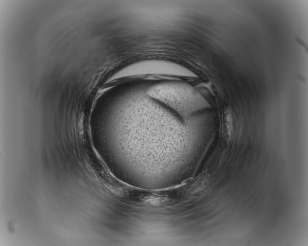 X0000099460504200805231809