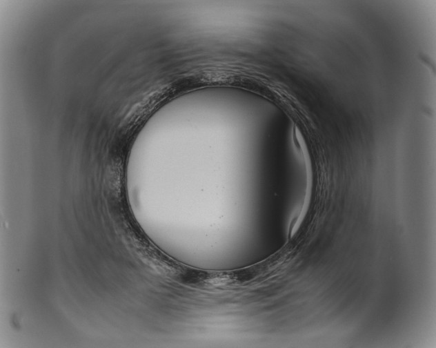 X0000099460505200805231809