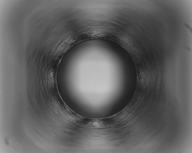 X0000099460506200805231809