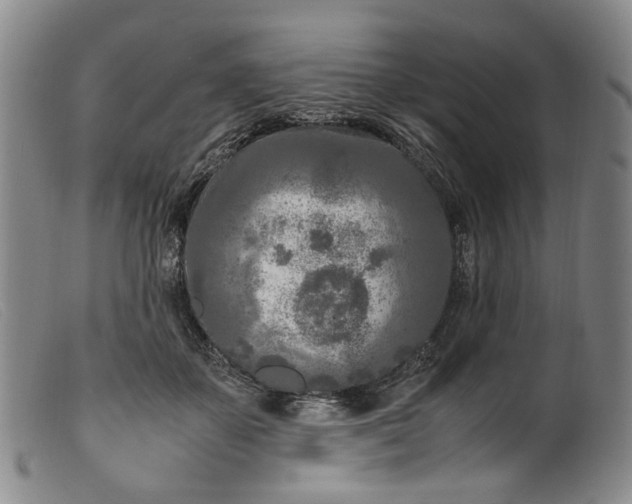 X0000099460507200805231809