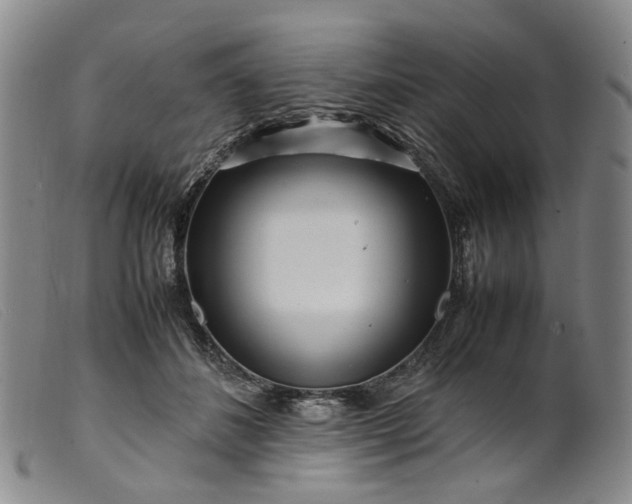 X0000099460508200805231809