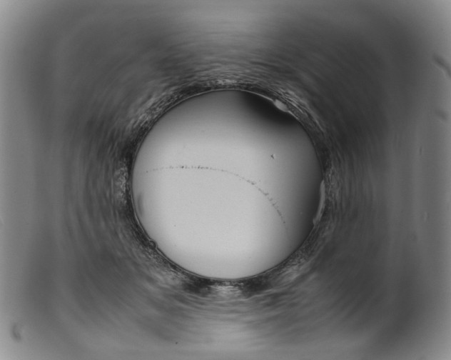 X0000099460509200805231809