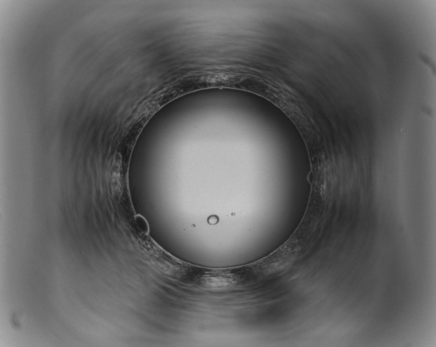 X0000099460510200805231809