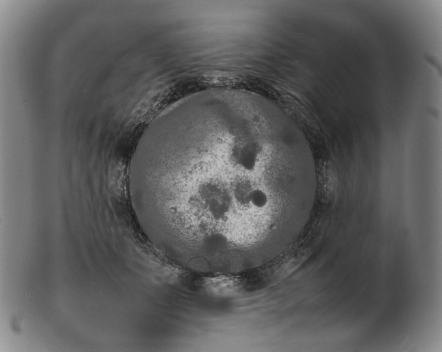 X0000099460511200805231809