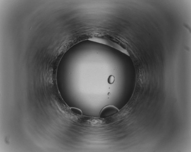 X0000099460512200805231809