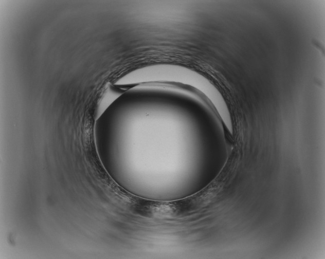 X0000099460513200805231809