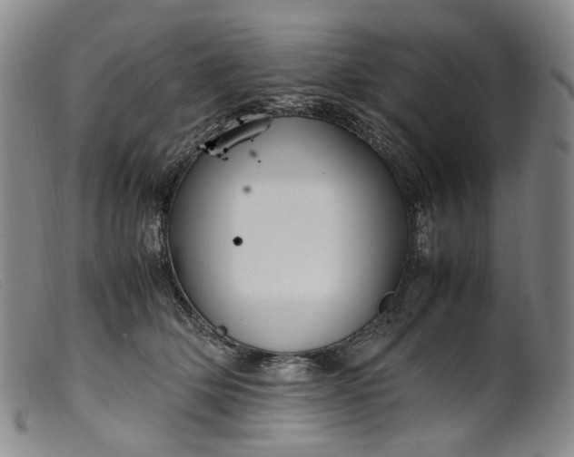 X0000099460514200805231809