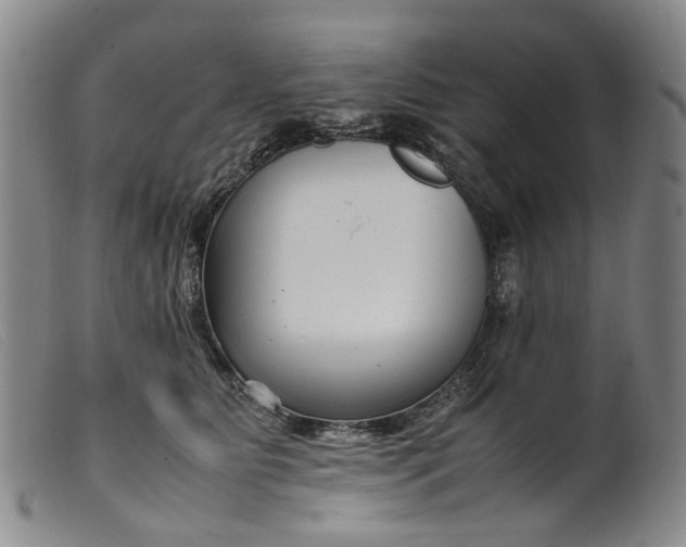 X0000099460515200805231809