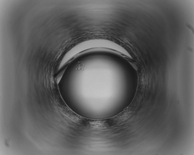 X0000099460516200805231809