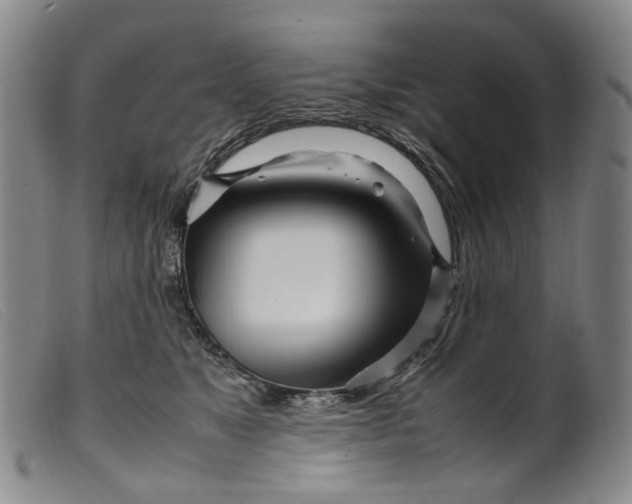 X0000099460517200805231809