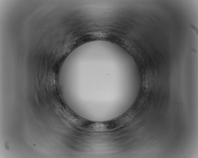 X0000099460518200805231809