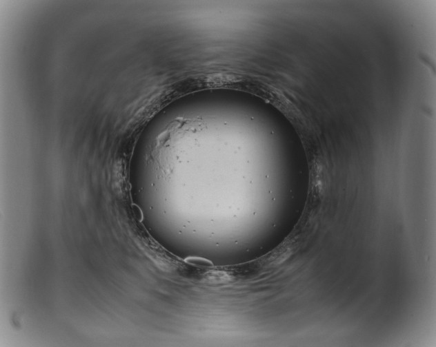 X0000099460519200805231809