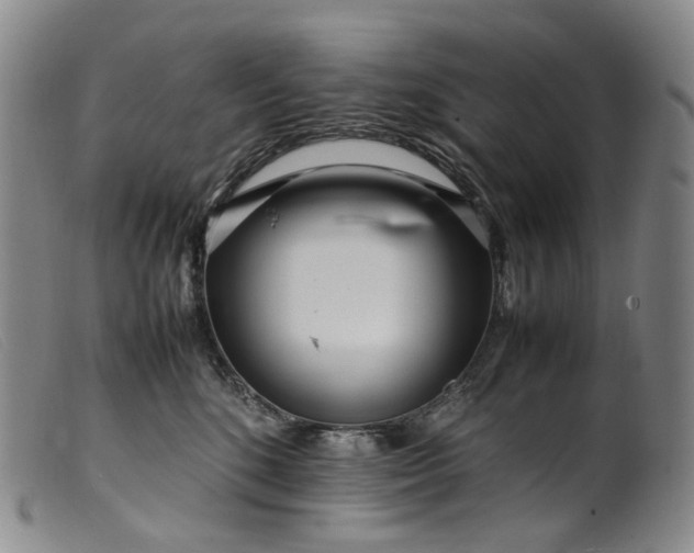 X0000099460520200805231809