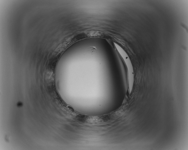 X0000099460521200805231809