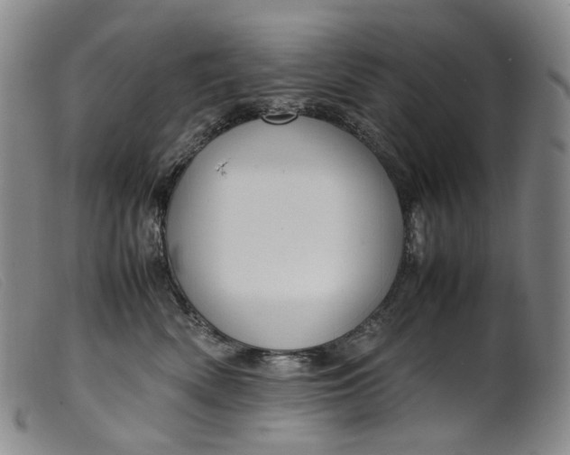 X0000099460522200805231809