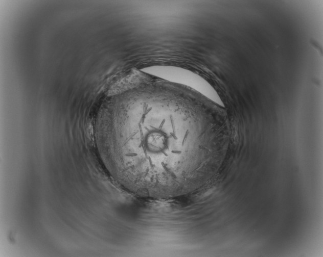 X0000099460523200805231809