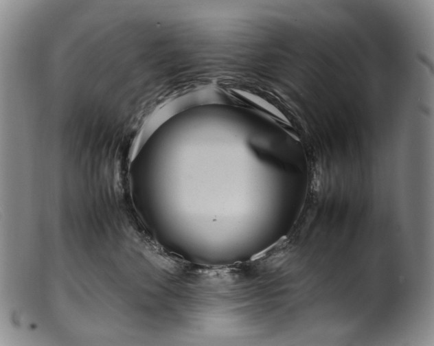 X0000099460524200805231809