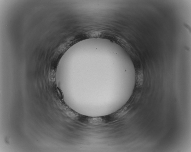 X0000099460525200805231809