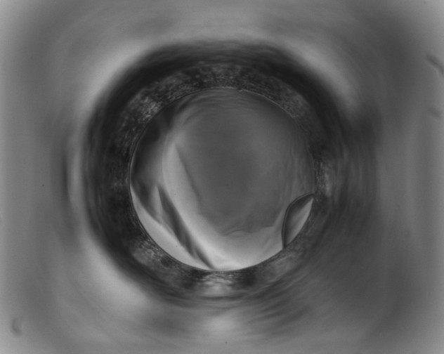 X0000099460526200805231809