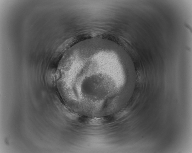 X0000099460527200805231809