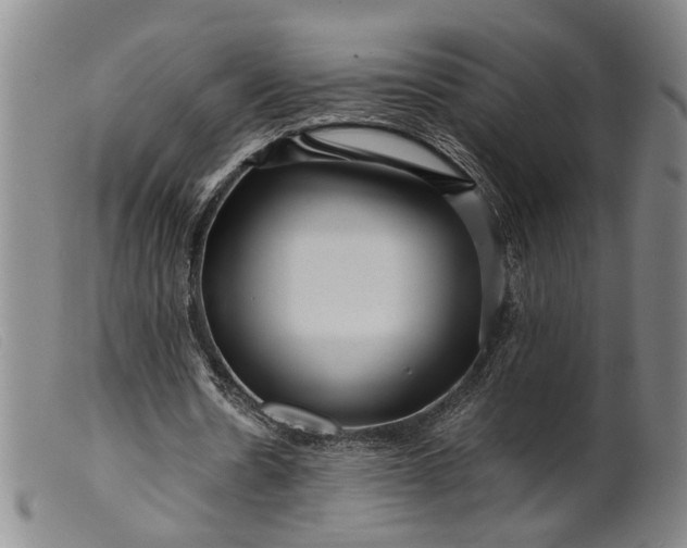 X0000099460530200805231808