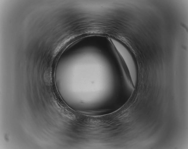 X0000099460531200805231808