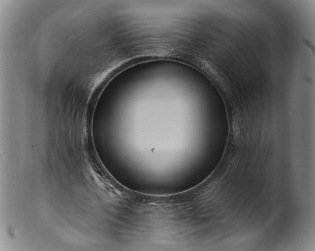 X0000099460532200805231808