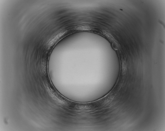 X0000099460533200805231808