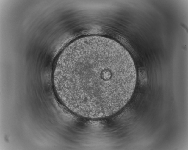 X0000099460534200805231808