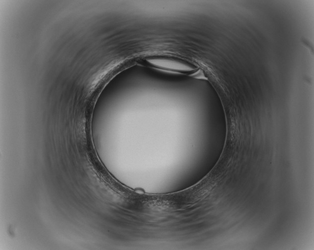 X0000099460535200805231808