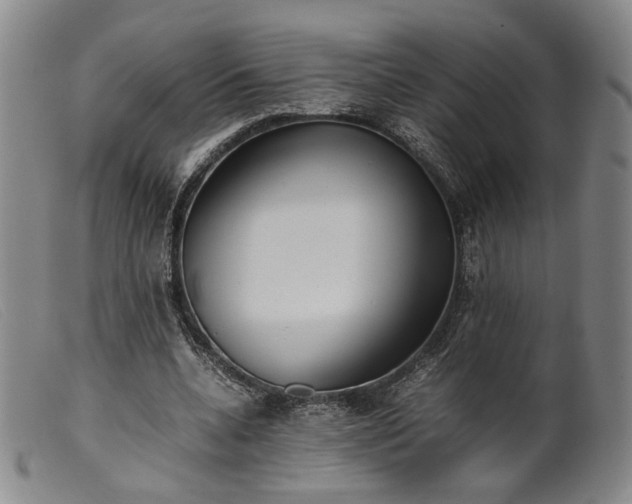 X0000099460536200805231808