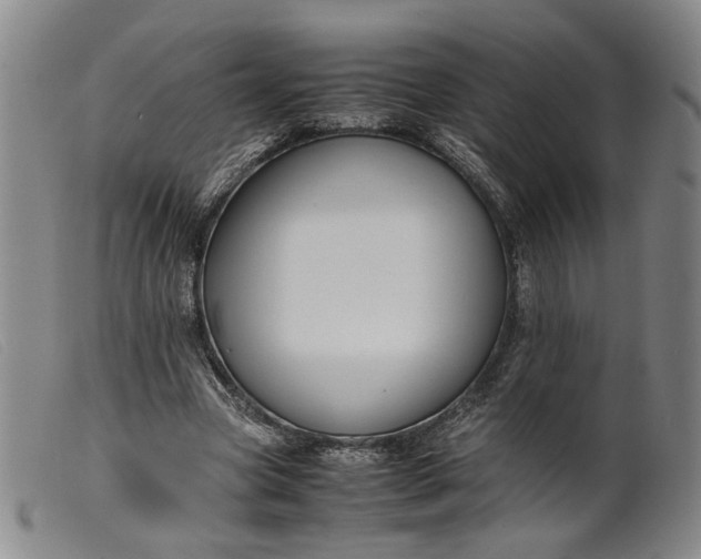 X0000099460537200805231808