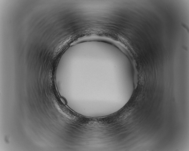 X0000099460538200805231808